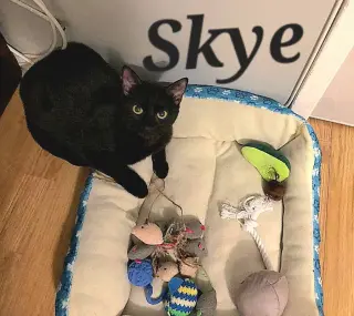 Skye