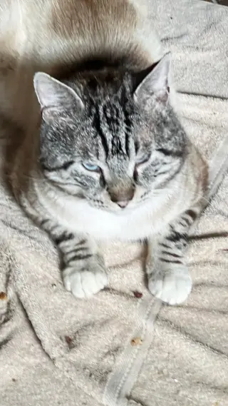 Sterling