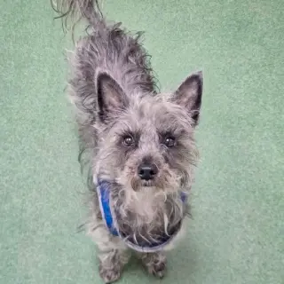 Max