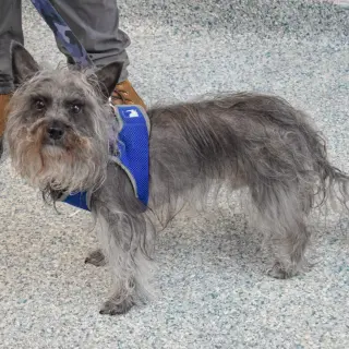 Max