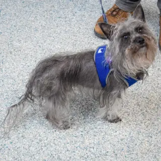 Max