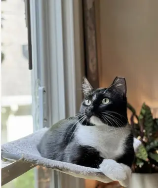 Benny