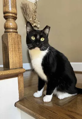 Benny