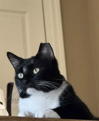 Benny