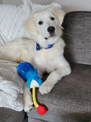 Murphy