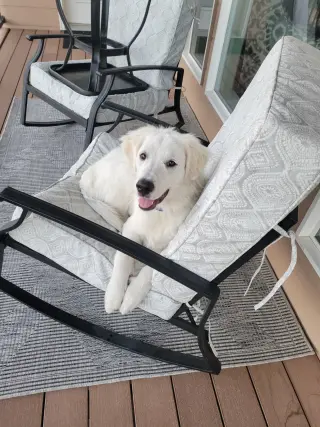 Murphy