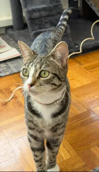 Valentina