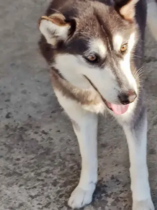 Krypto