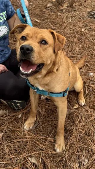 Rusty