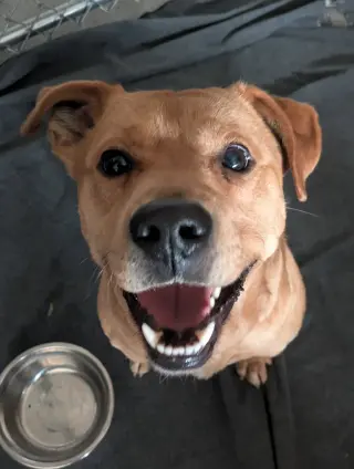 Rusty
