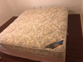 Speed Carpet Cleaning
