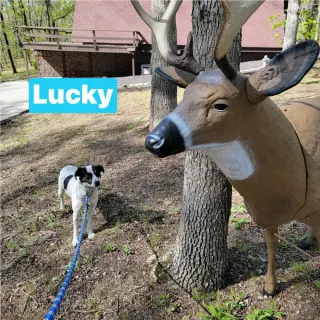 Lucky