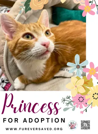 Princess