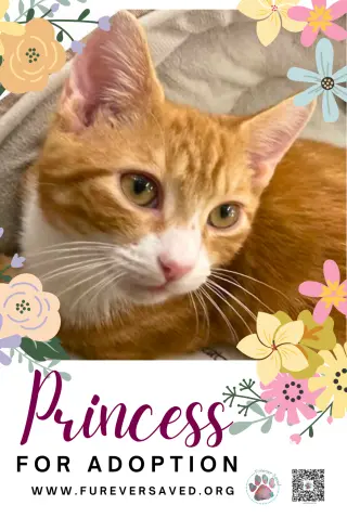 Princess