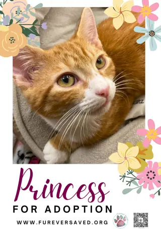 Princess