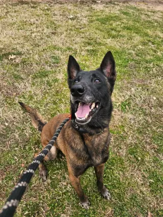 Deputy - Located in Tennessee