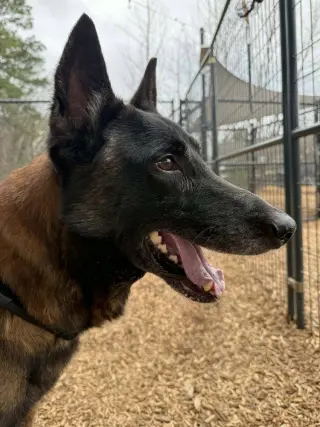 Deputy - Located in Tennessee