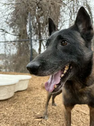 Deputy - Located in Tennessee