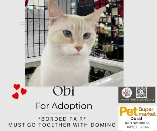 Obi and Domino - ^^Bonded Pair^^