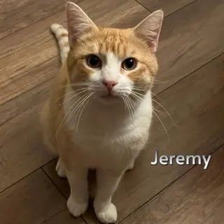 Jeremy (Courtesy Posting)