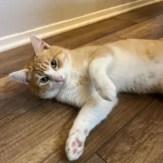 Jeremy (Courtesy Posting)