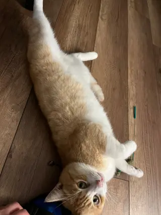 Jeremy (Courtesy Posting)