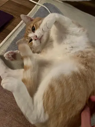 Jeremy (Courtesy Posting)
