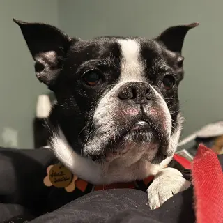 Jack Jack