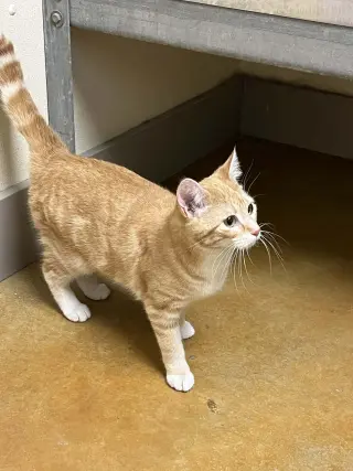 Winnie