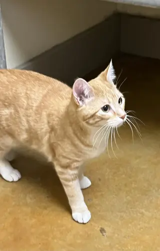 Winnie