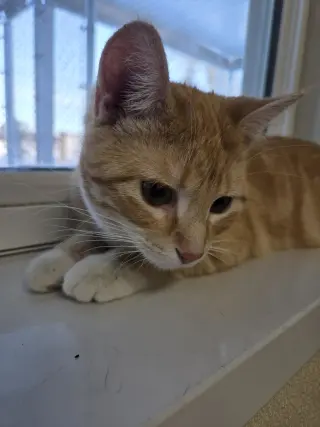Winnie