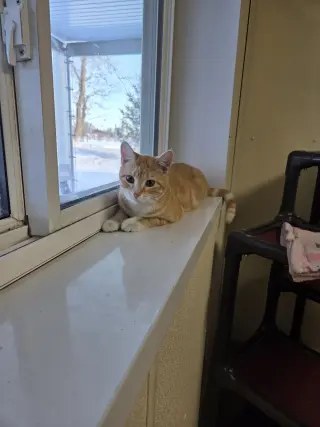 Winnie