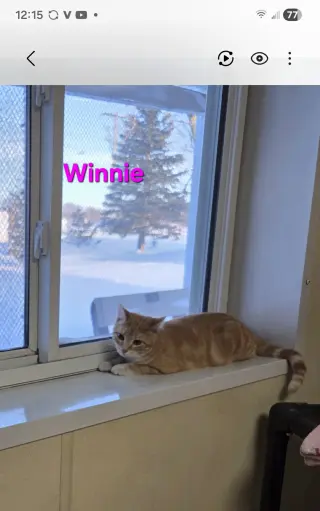 Winnie