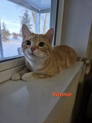 Winnie
