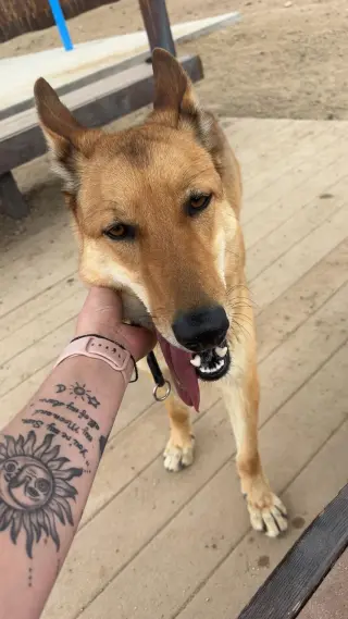 Rusty