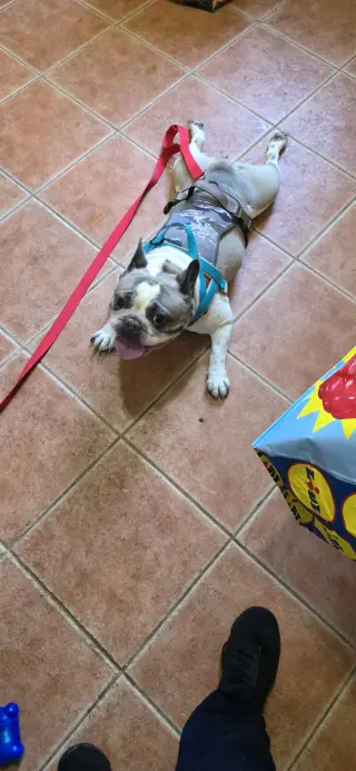 Violet