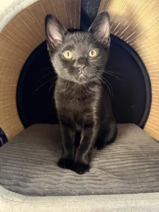 Charlie