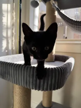 Charlie