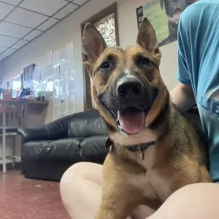 Bebop