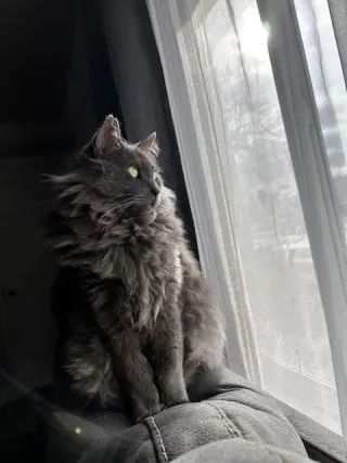 Smokey