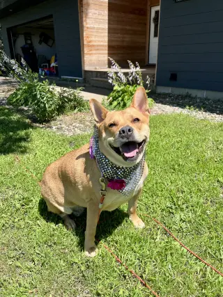 Ethel