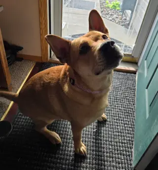 Ethel