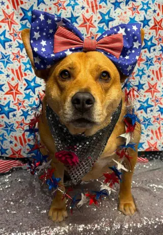 Ethel