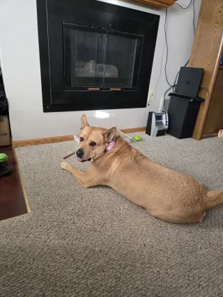 Ethel