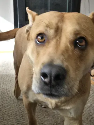 Ethel