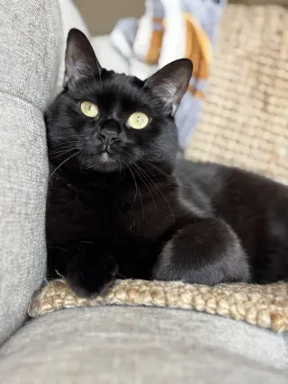 Meena