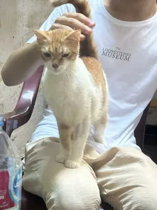 Kira