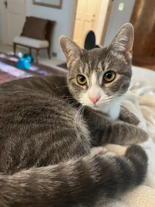 CARLY KAT - Sweet, Perfect, So FUN! :)