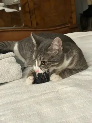CARLY KAT - Sweet, Perfect, So FUN! :)