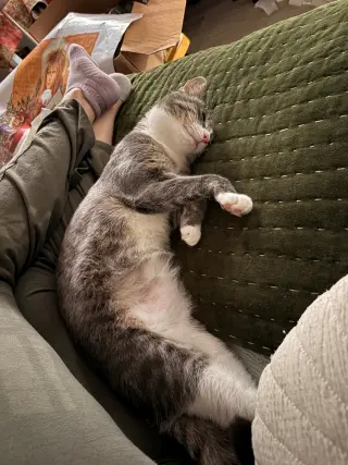 CARLY KAT - Sweet, Perfect, So FUN! :)